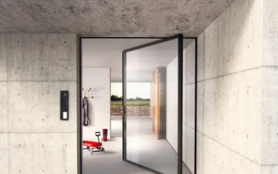 Black Glass pivot Door